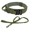 Durable Tactical Dog Collar