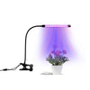 Grow Light for Indoor Plants