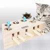 Interactive Play Catch Pet Toys