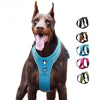 Sport Nylon Reflective Dog Harness