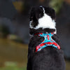 Nylon Explosion-proof Dog Harness