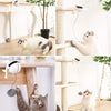 Automatic Ball Electric Lifting Cat Toy