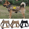 Training Vest Dog Harness And Leash