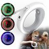 Luminous LED Light Dog Leash