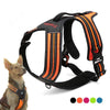 Sport Nylon Reflective Dog Harness