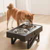 Anti-Slip Elevated Double Dog Bowls