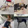 Training Vest Dog Harness And Leash