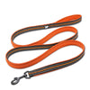 Nylon Dog Leash for Training