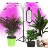 Grow Light for Indoor Plants