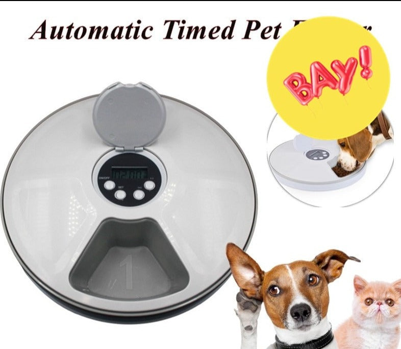 Timed dog feeding clearance bowl