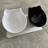 Double Pet Feeding Bowl With Stand