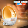 Wake Up Light Sunrise Alarm Clock WiFi