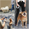 Luminous LED Light Dog Leash