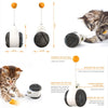 Puzzle Interactive Tumbler Swing Cat toys