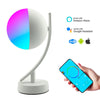 Smart Voice LED Control Desk Lamps