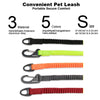 Short Bungee Dog Nylon Leash