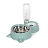 Automatic Food Water Feeder with Bowl