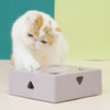 Electric Cat Toy Squared Magic Box