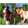 Reflective Comfortable and Breathable Pet Harness Nylon