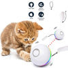 USB Rechargeable Ball Interactive Catnip Toys