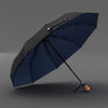 Luxury Windproof Automatic Big Umbrella