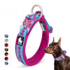 Nylon Adjustable Dog Collars