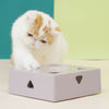 Electric Cat Toy Squared Magic Box