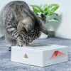 Electric Sqaure Magic Box Cat Hunt Toy