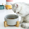 Pet Feeding Double Bowl