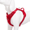 Reflective Comfortable and Breathable Pet Harness Nylon