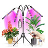 Grow Light for Indoor Plants