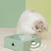 Electric Cat Toy Squared Magic Box