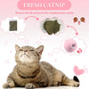 3 Pcs Simulation Sound Cat Ball Toys