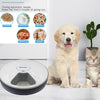 Automatic Round Timing Feeder Pet