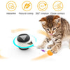 Puzzle Interactive Tumbler Swing Cat toys