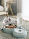 Pet Automatic Feeder Bowl