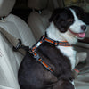 All Car Safety Buckle with Collar Pet