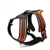 Sport Nylon Reflective Dog Harness