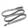 Nylon Dog Leash for Training