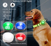 Safety LED Light for Harness Pet