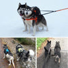 Reflective Nylon Double Dog Leash