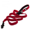 Bungee Hand-held Leash Dog