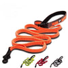 Bungee Hand-held Leash Dog