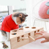 Interactive Play Catch Pet Toys