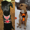 Durable Reflective Dog Harness