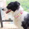 Personalized Nameplate Dog Collar