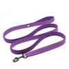 Nylon Dog Leash for Training