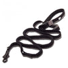 Bungee Hand-held Leash Dog