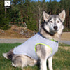 Adjustable Cooling Harness For Dogs