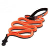 Bungee Hand-held Leash Dog